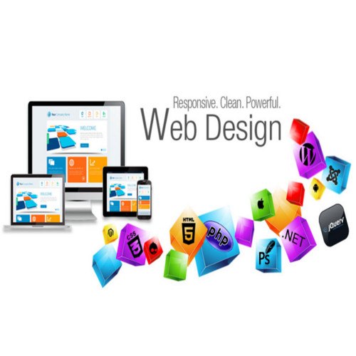 Website Designing Company In Baikunthpur